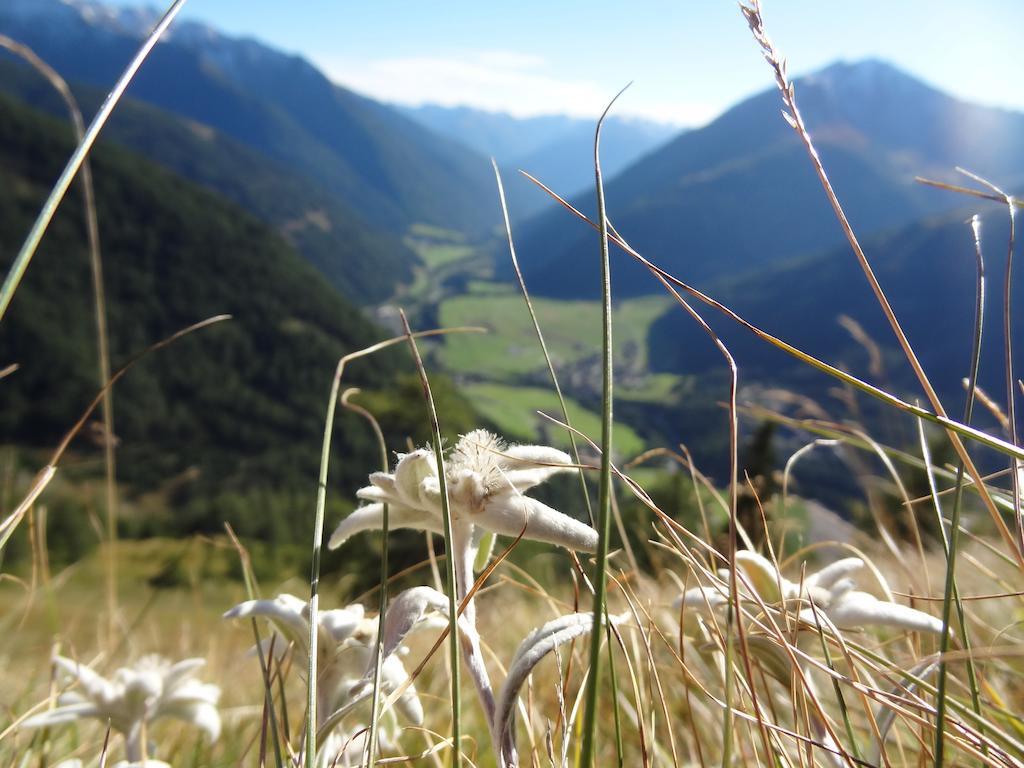 Ferienhaus Meins Kals-am Großglockner Zewnętrze zdjęcie