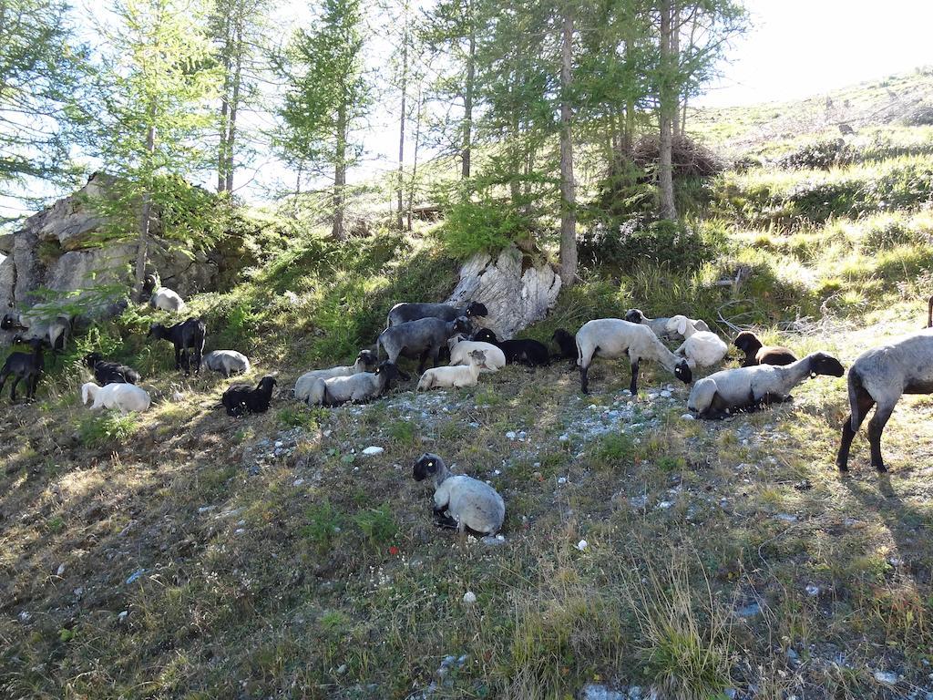 Ferienhaus Meins Kals-am Großglockner Zewnętrze zdjęcie