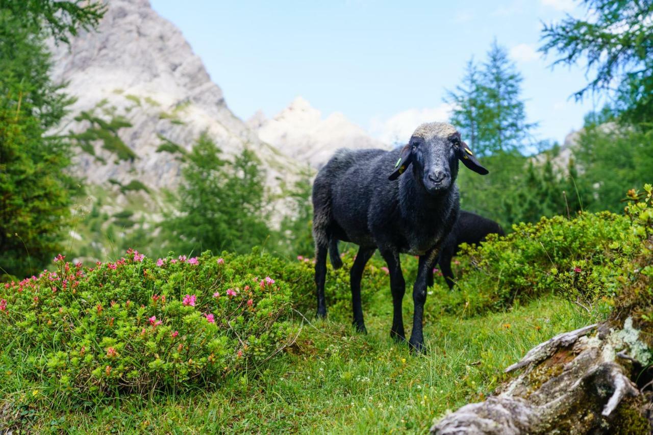 Ferienhaus Meins Kals-am Großglockner Zewnętrze zdjęcie